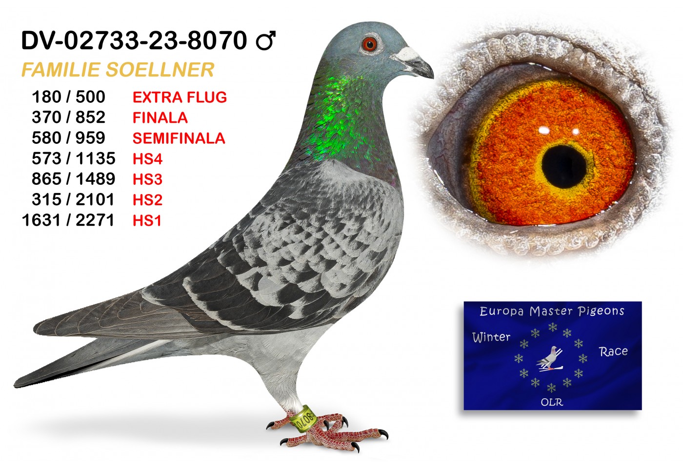 (♂️) 180th place EXTRA FLUG - DV-02733-23-8070 - FAMILIE SOELLNER
