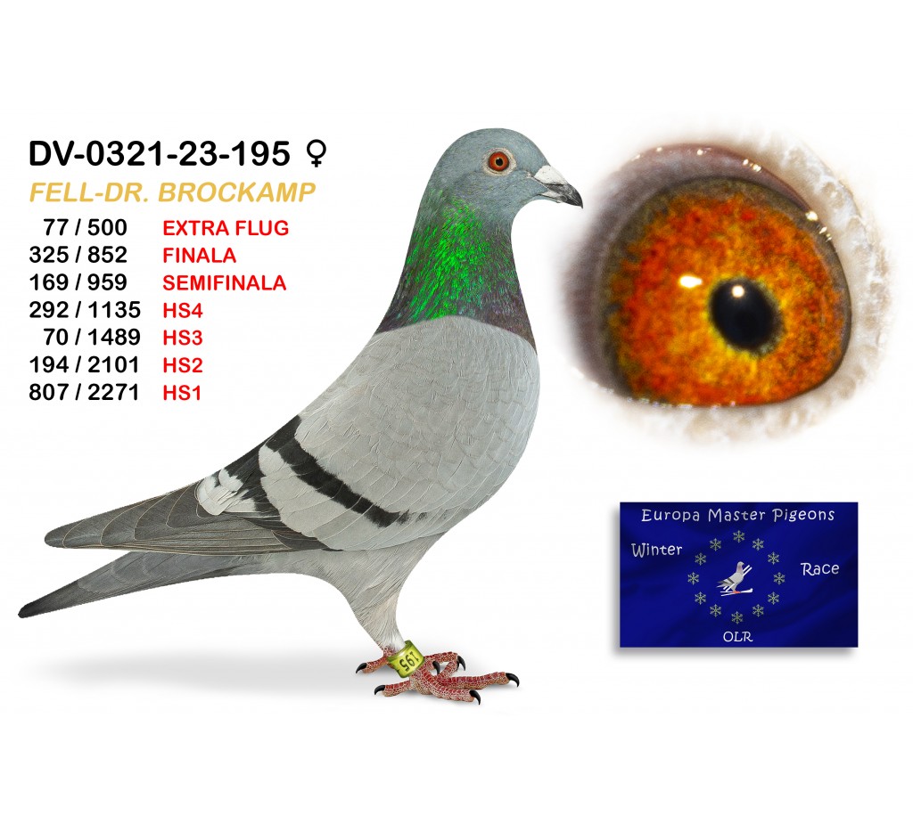 (♀️) 325th place - DV-0321-23-195 TEAM FELL -DR BROCKAMP