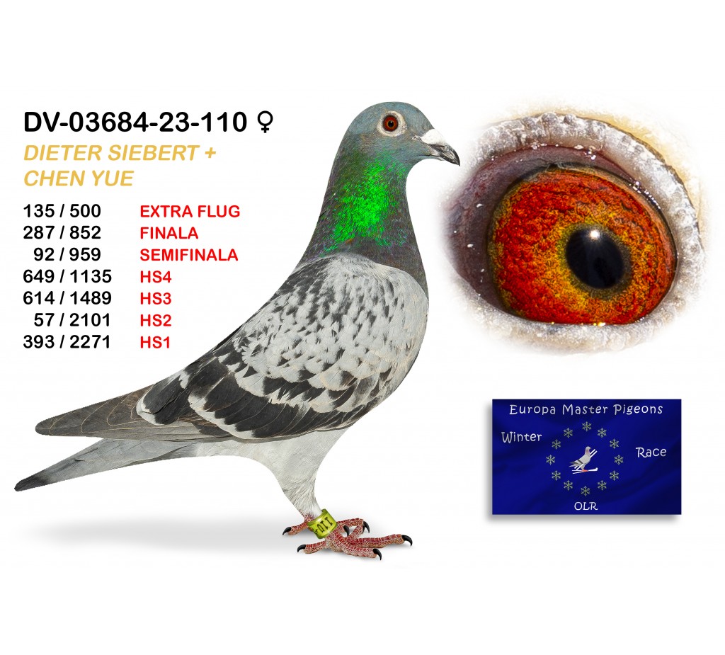 (♀️) 287th place - DV-03684-23-110 - DIETER SIEBERT+CHEN YUE