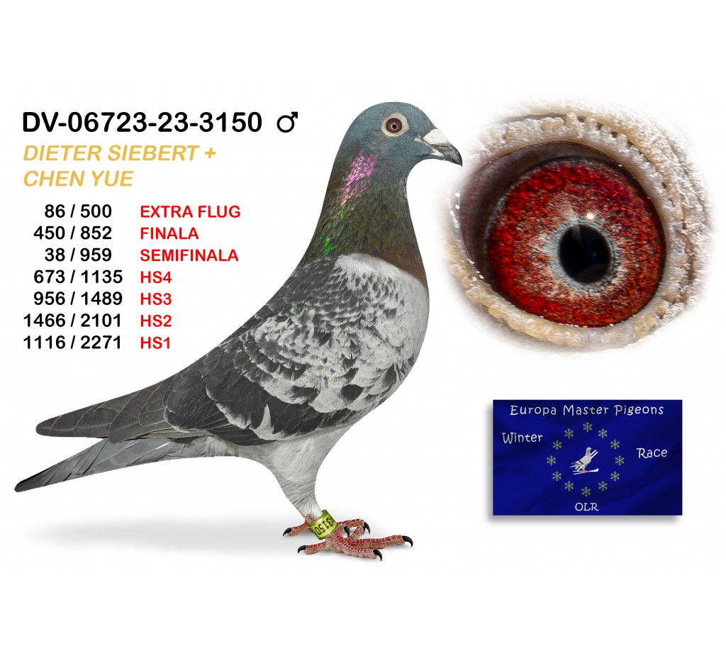 (♂️) 450th place - DV-06723-23-3150 DIETER SIEBER + CHEN YUE