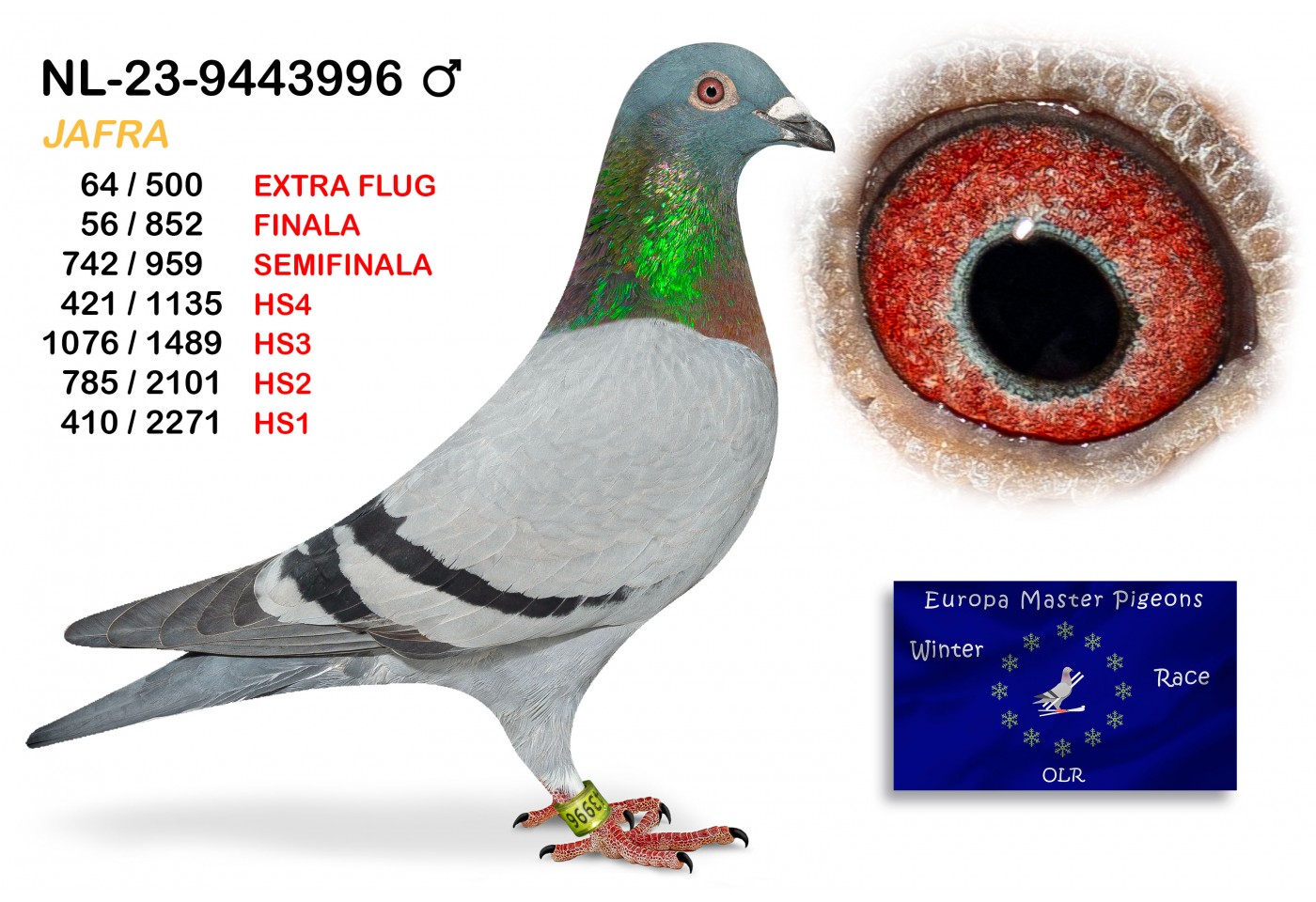 (♂️) 56th place - NL-23-9443996 - JAFRA