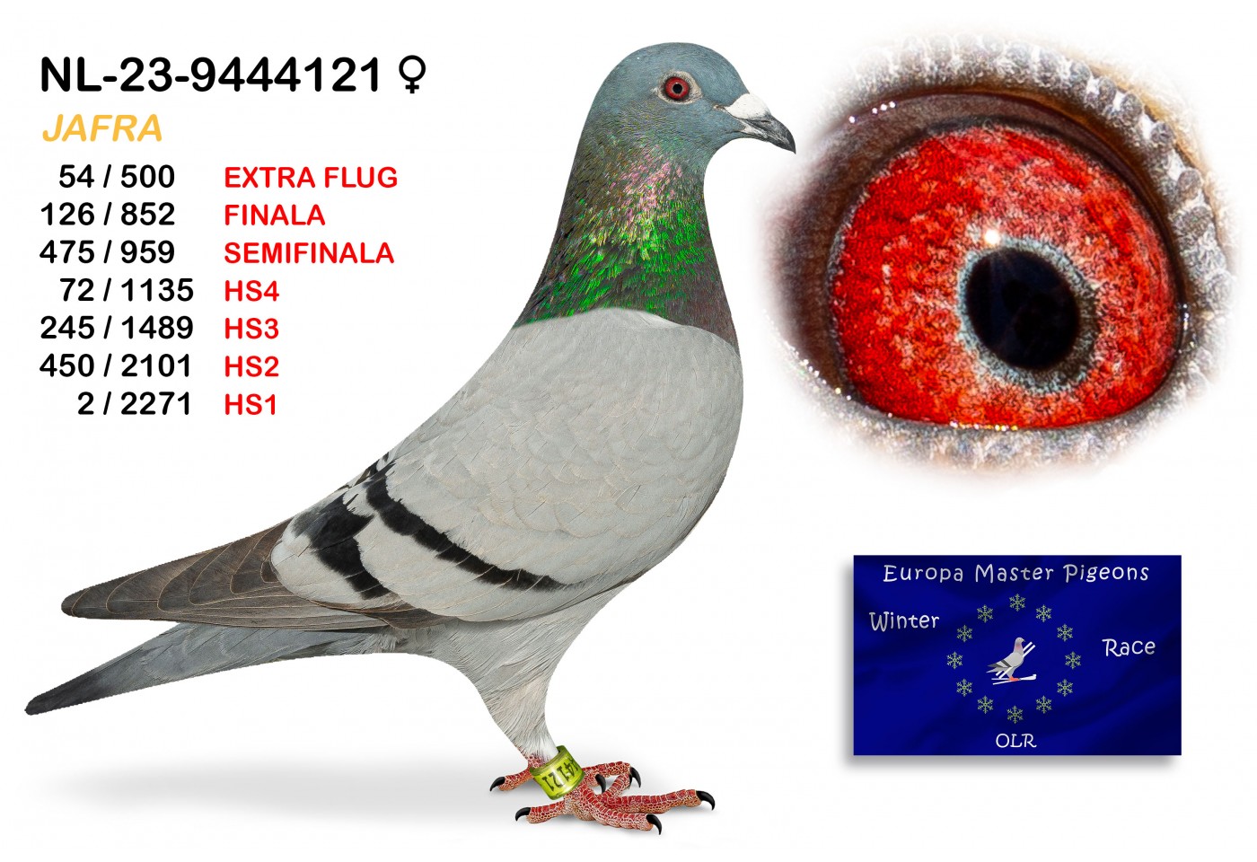 (♀️) 126th place - NL-23-9444121 - JAFRA