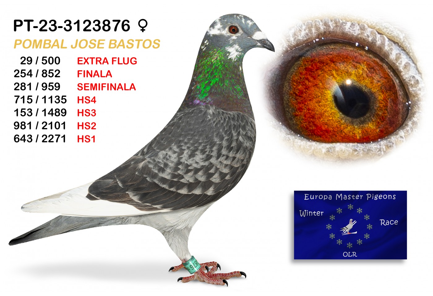 (♀️) 29th place EXTRA FLUG - PT-23-3123876 - POMBAL JOSE BASTOS