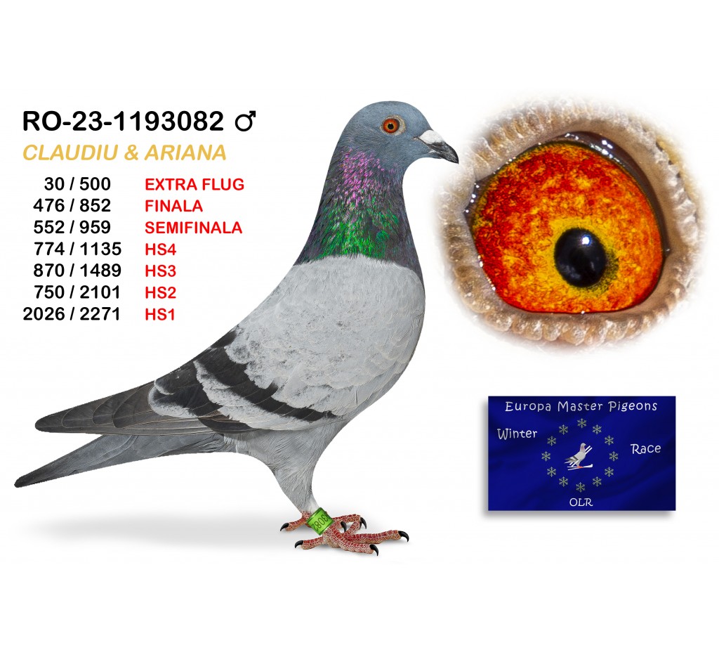 (♂️) 476th place - RO-23-1193082 CLAUDIU ARIANA