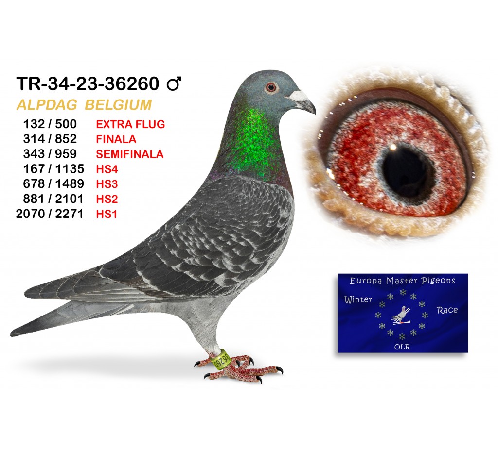 (♂️) 314th place - TR-34-23-36260 - ALPDAG TEAM BELGIUM