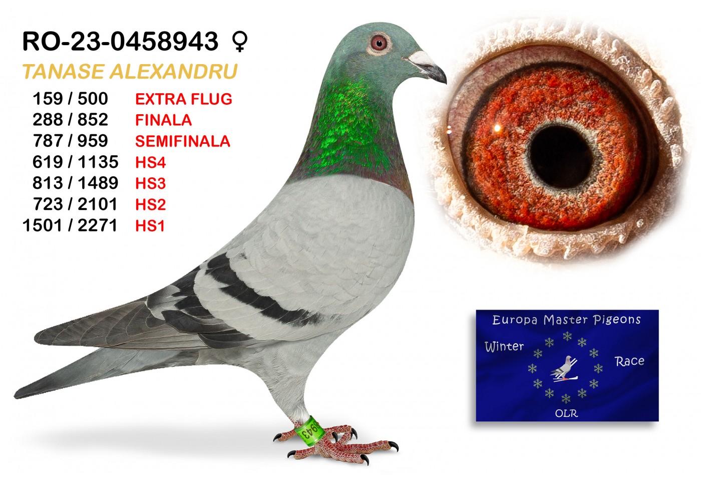 (♀️) 159th place EXTRA FLUG - RO-23-0458943 - TANASE ALEXANDRU