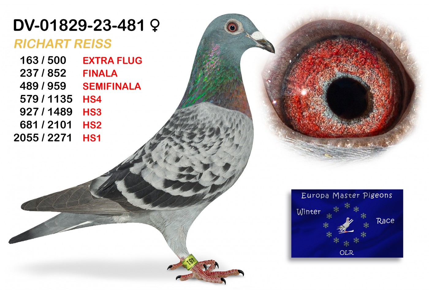 (♀️) 163th place EXTRA FLUG - DV-01829-23-481 RICHARD REISS
