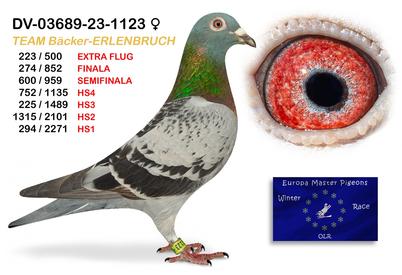 (♀️) 223th place EXTRA FLUG - DV-03689-23-1123 TEAM BACKER - ERLENBRUCH