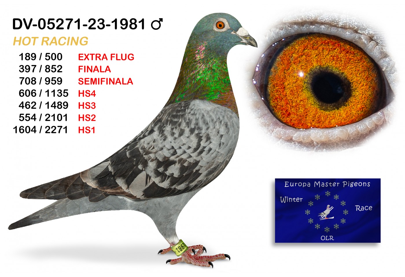(♂️) 189th place EXTRA FLUG - DV-05271-23-1981 - HOT RACING TEAM