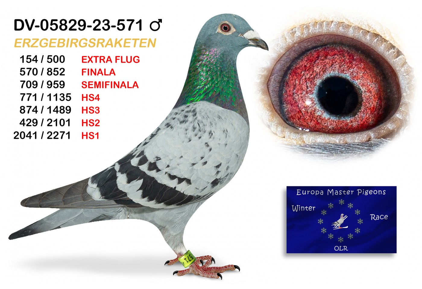 (♂️) 154th place EXTRA FLUG - DV-05829-23-571 - ERZGEBIRGSRAKETEN