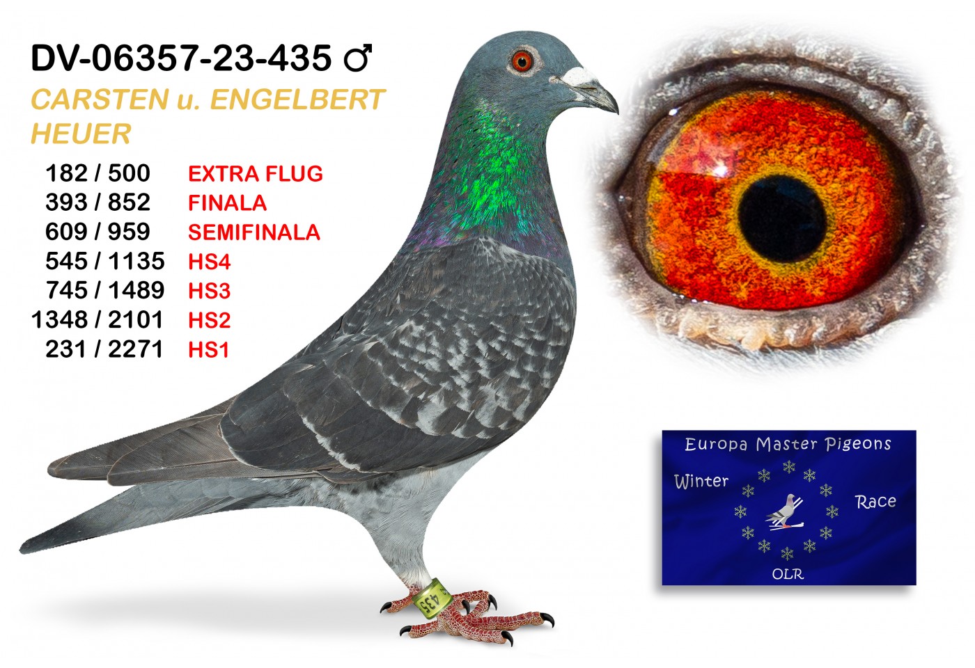 (♂️) 182th place EXTRA FLUG - DV-06357-23-435 - CARSTEN U ENGELBRERT HEUER