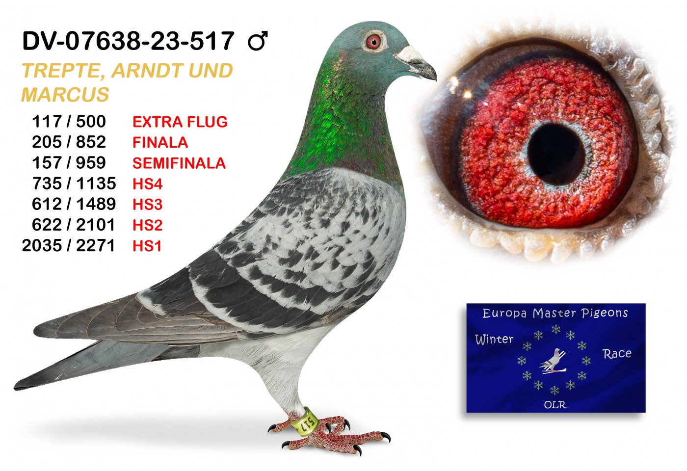 (♂️) 117th place EXTRA FLUG - DV-07638-23-517 - TREPTE, ARNDT UND MARCUS