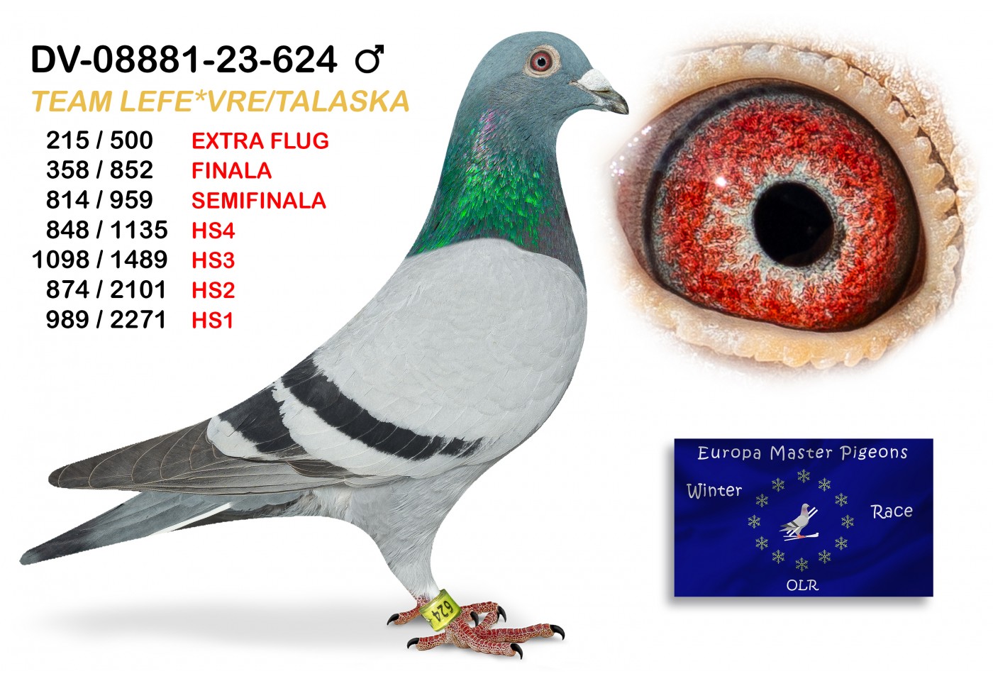 (♂️) 215th place EXTRA FLUG - DV-08881-23-624 - TEAM LEFE*VRE/TALASKA