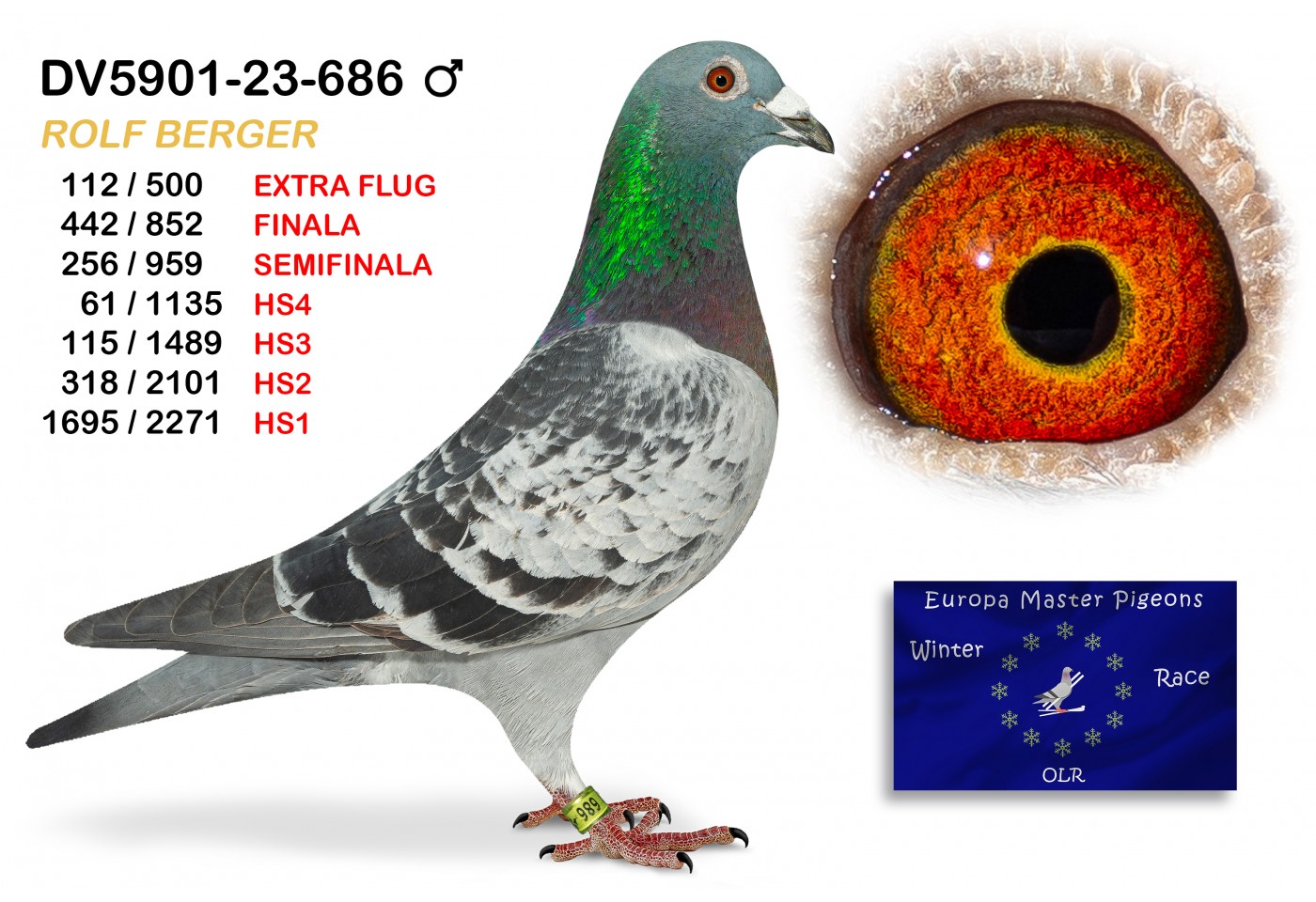 (♂️) 61th place HS4 - DV-5901-23-686 - ROLF BERGER