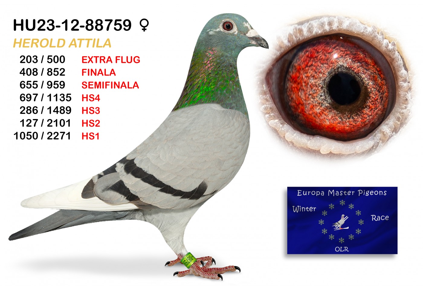 (♀️)  127th place HS2 - HU23-12-88759 - HEROLD ATTILA