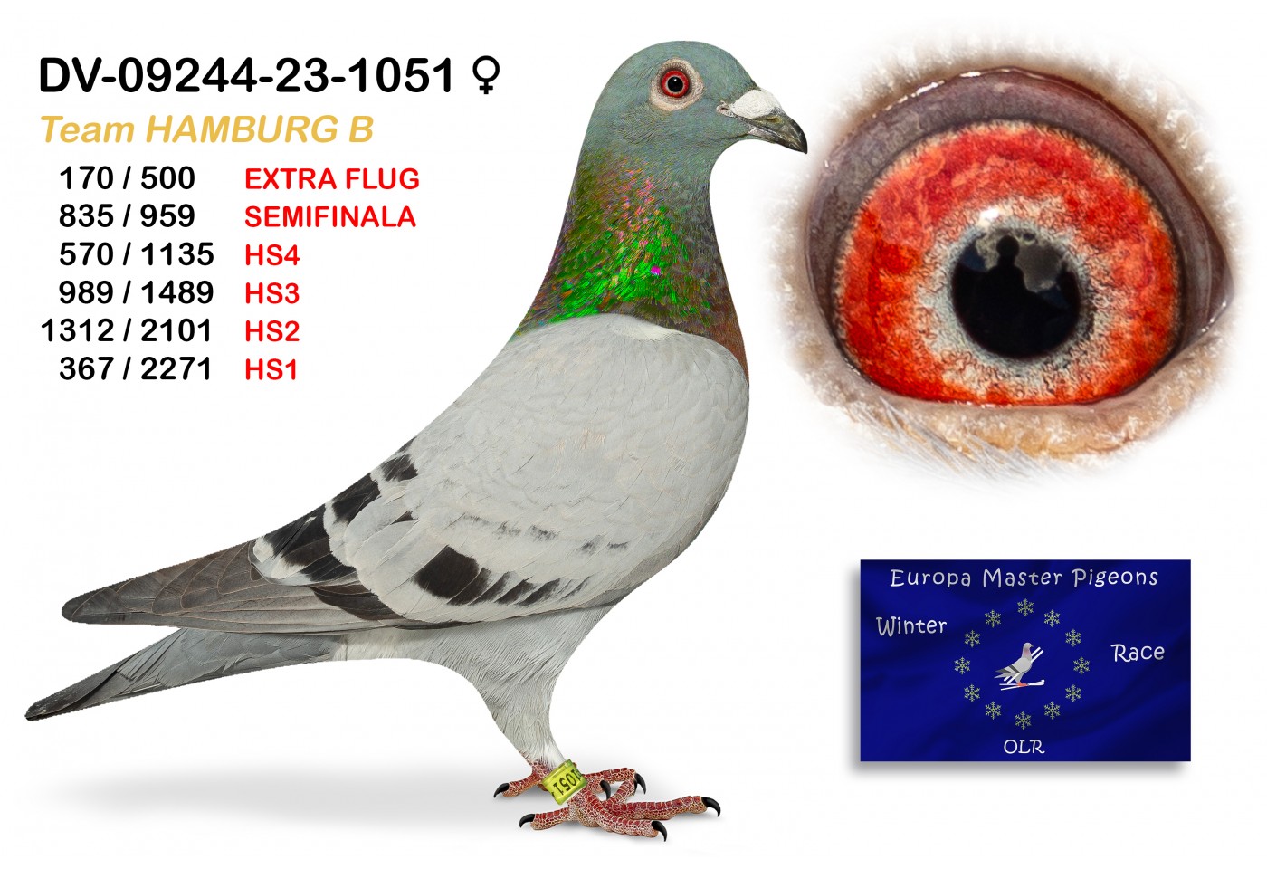 (♀️)  170th place EXTRA FLUG - DV-09244-23-1051 TEAM HAMBURG