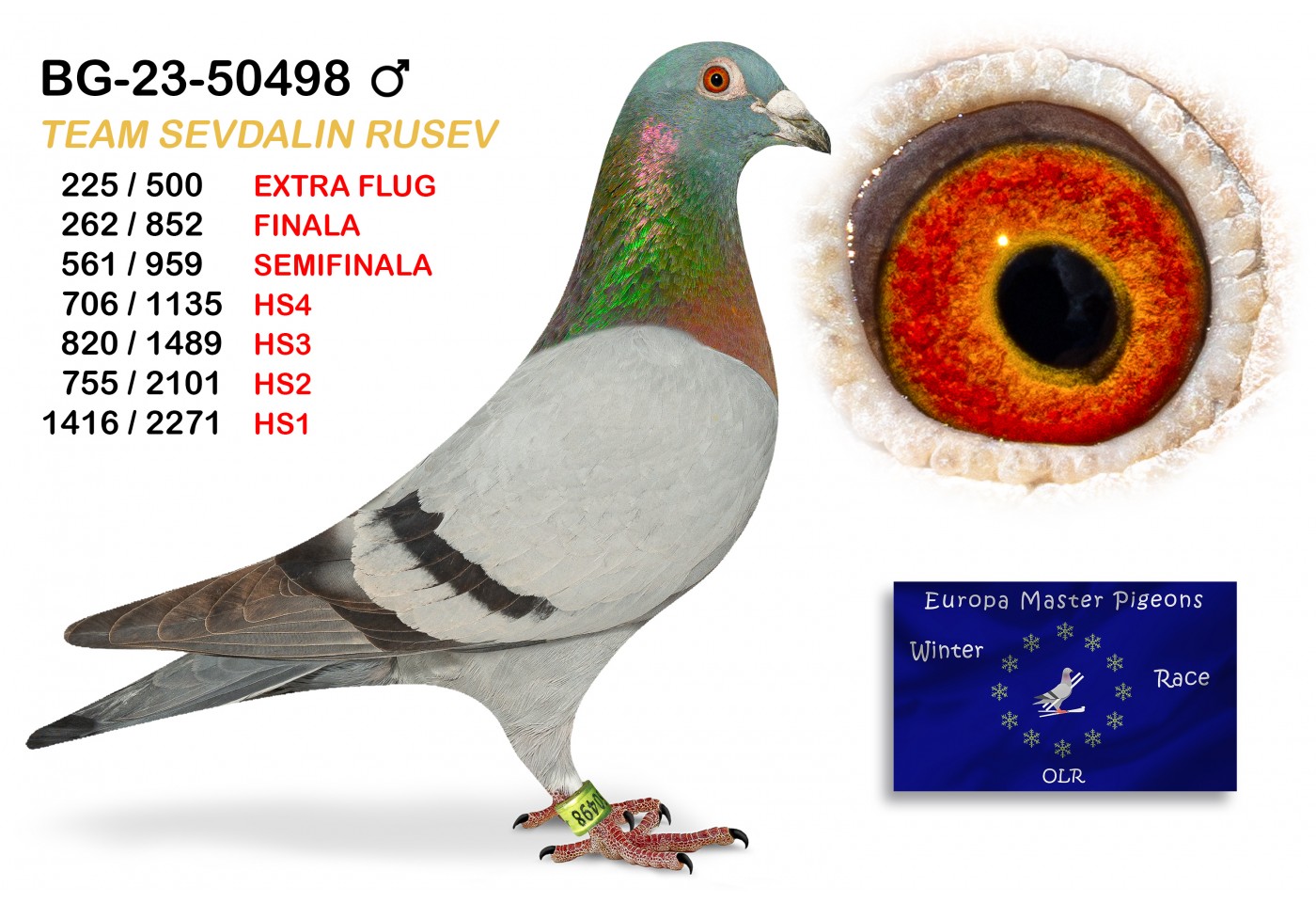 (♂️) 225th place EXTRA FLUG - BG-23-50498 TEAM SEVDALIN RUSEV