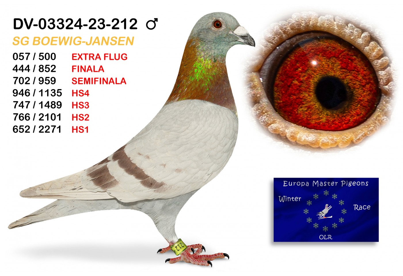 (♂️) 57th place EXTRA FLUG - DV-03324-23-212 SG BOEWIG-JANSEN