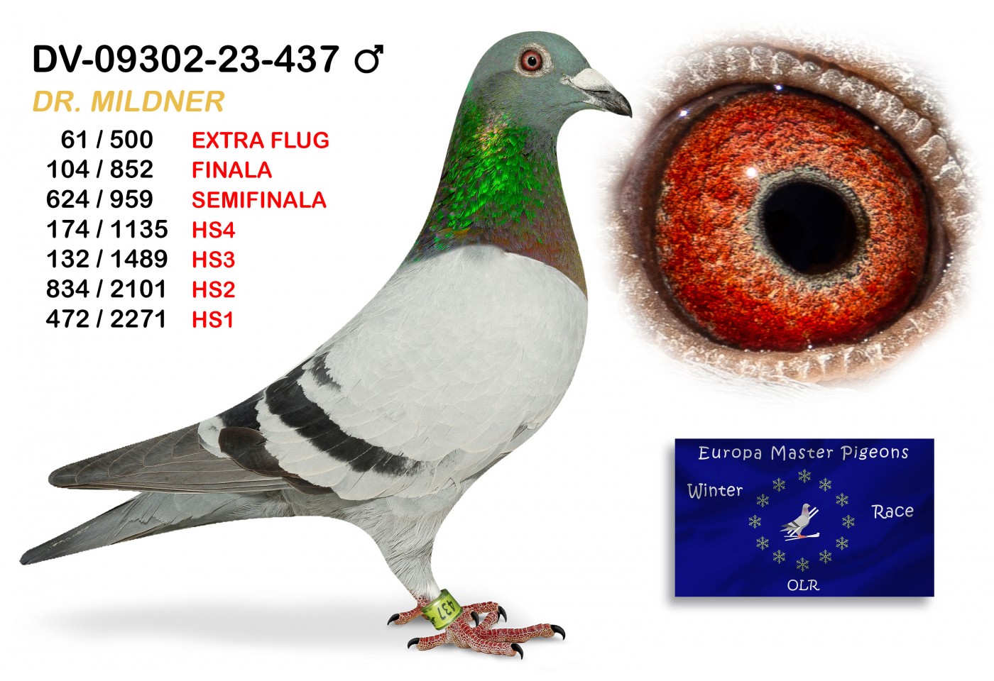 (♂️) 61th place EXTRA FLUG - DV-09302-23-437 DR MILDNER