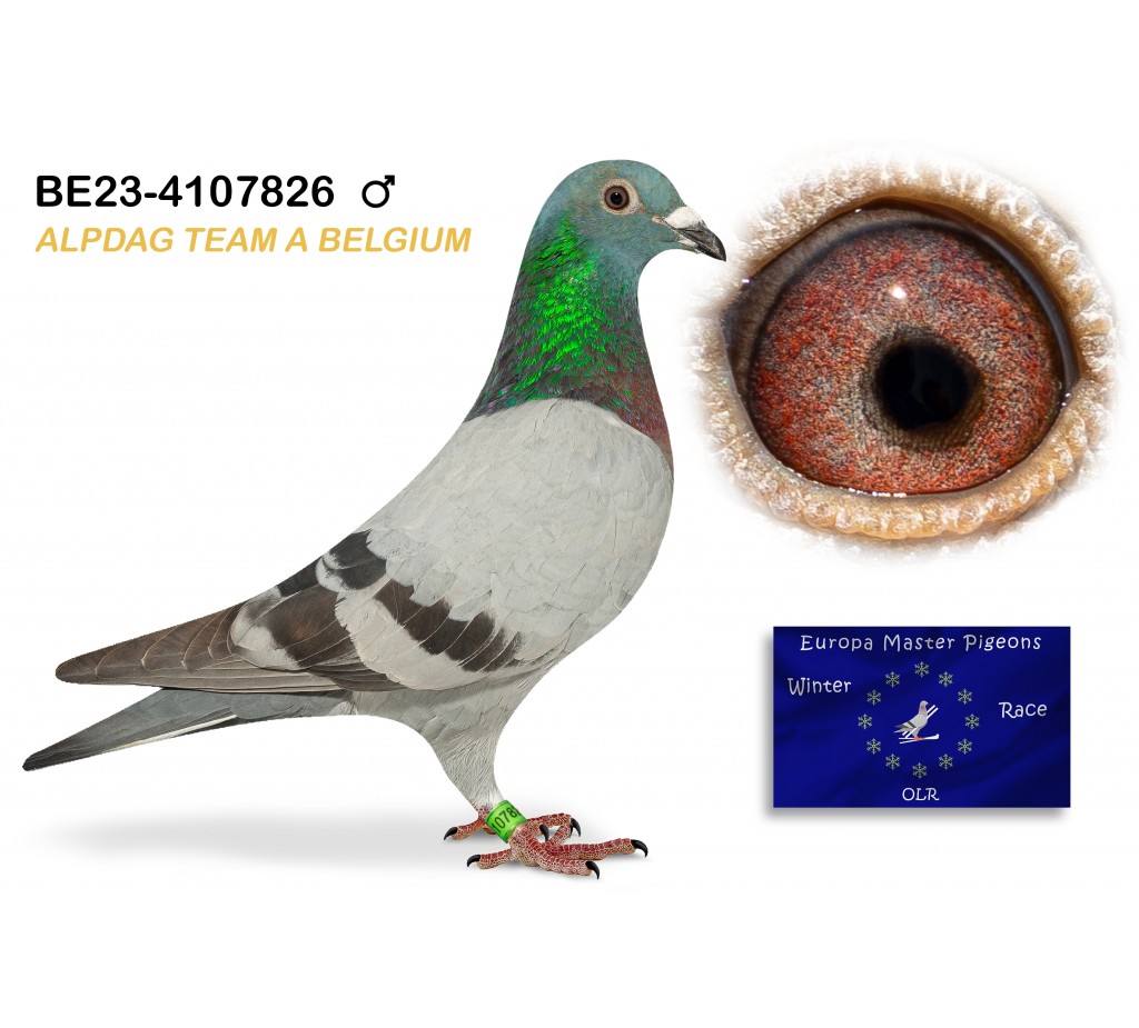 (♂️) BE-23-4107826 - ALPDAG TEAM BELGIUM