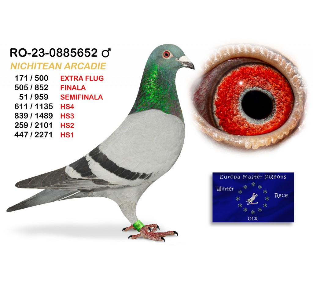 (♂️) 51th place SEMIFINAL - RO-23-0885652 - NICHETEAN ARCADIE