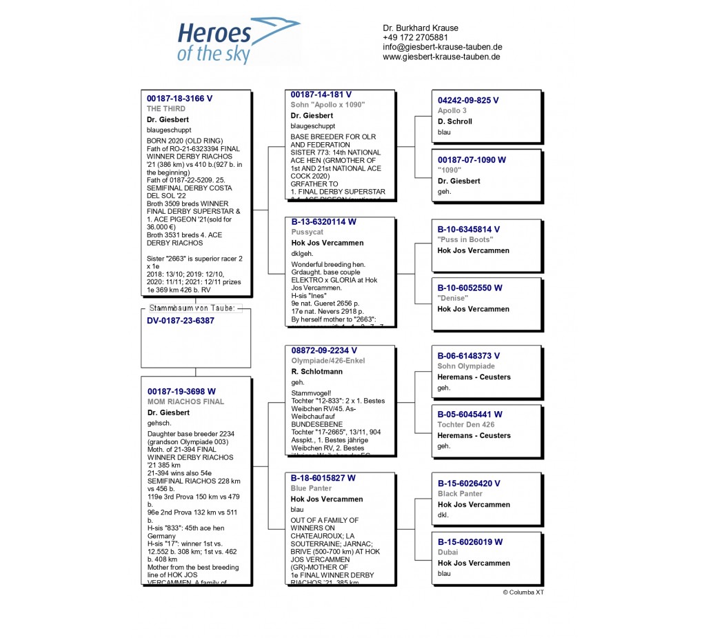 DV-00187-23-6387 - HEROES OF THE SKY