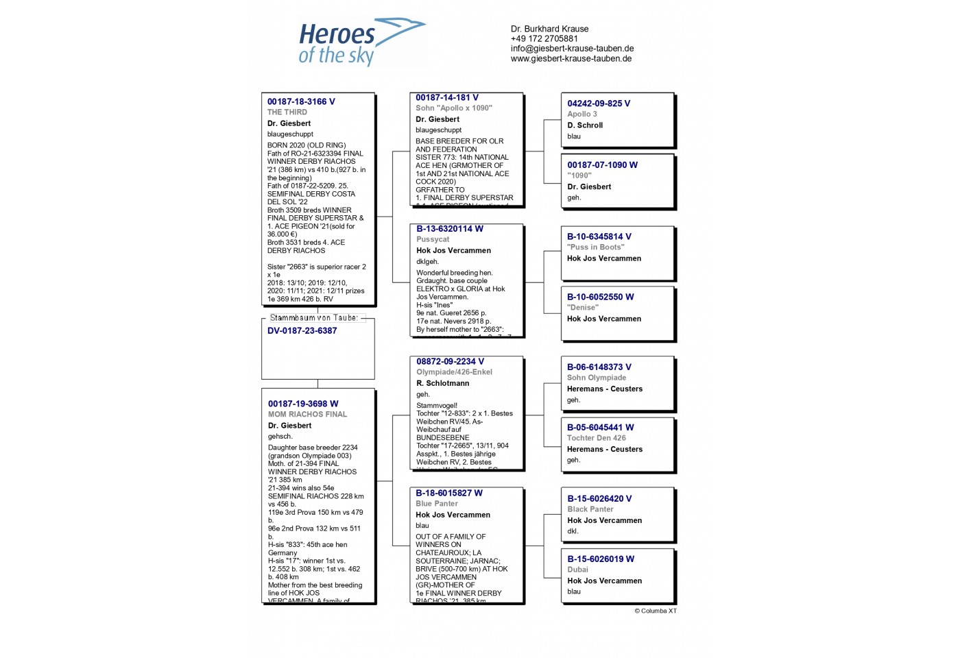 DV-00187-23-6387 - HEROES OF THE SKY