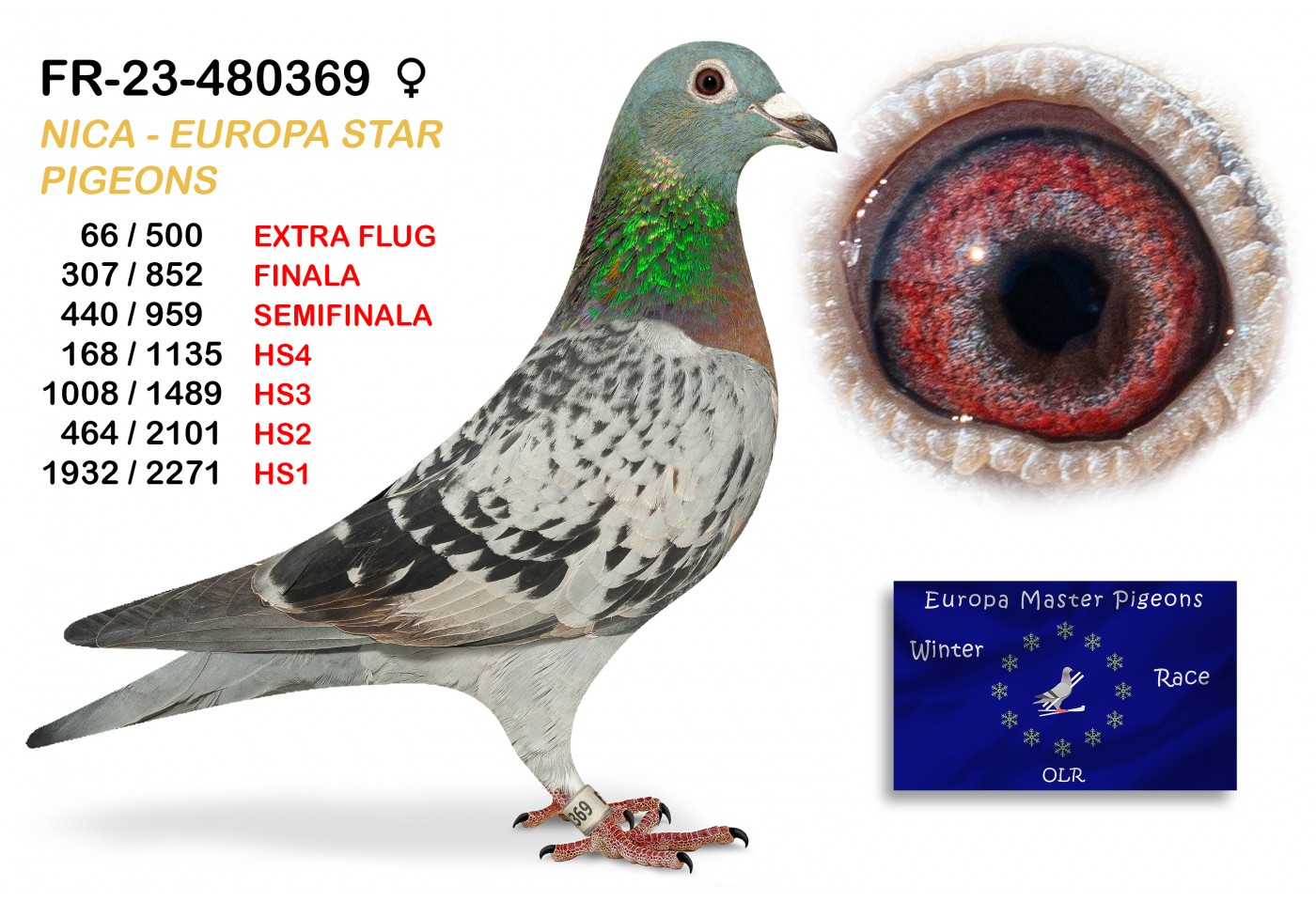 FR-23-480369 - NICA EUROPA