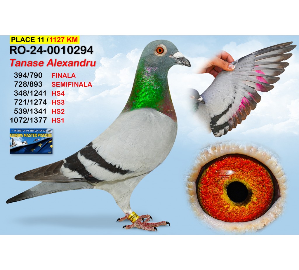 11th Place -  RO-24-0010294  - TANASE ALEXANDRU