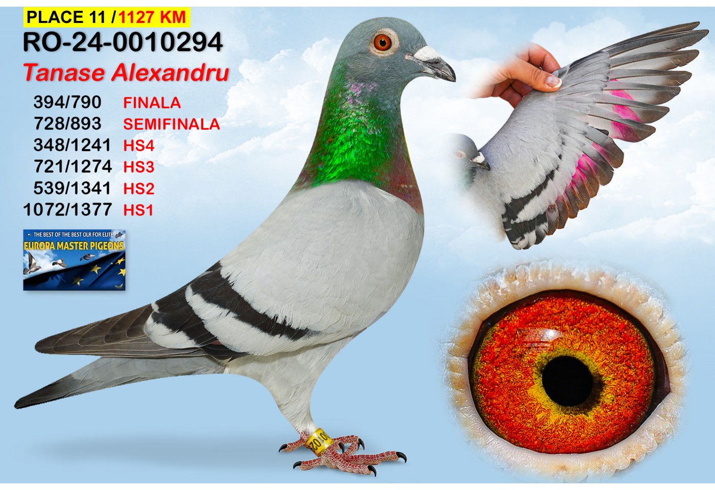 11th Place -  RO-24-0010294  - TANASE ALEXANDRU