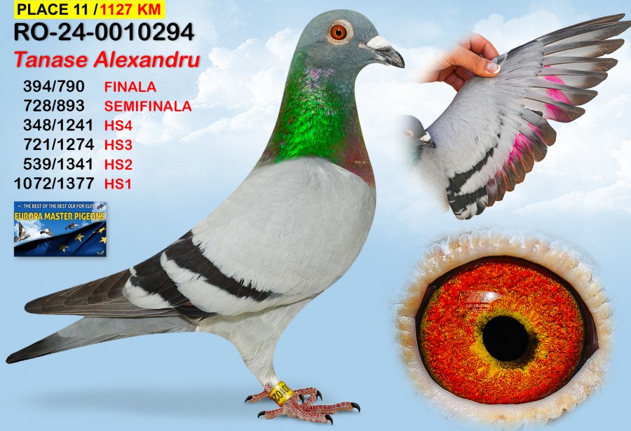 11th Place -  RO-24-0010294  - TANASE ALEXANDRU