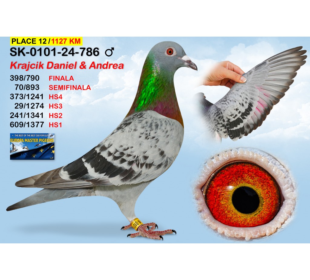 (♂️)  12th place - SK-0101-24-786 - KRAJCIK DANIEL & ANDREEA