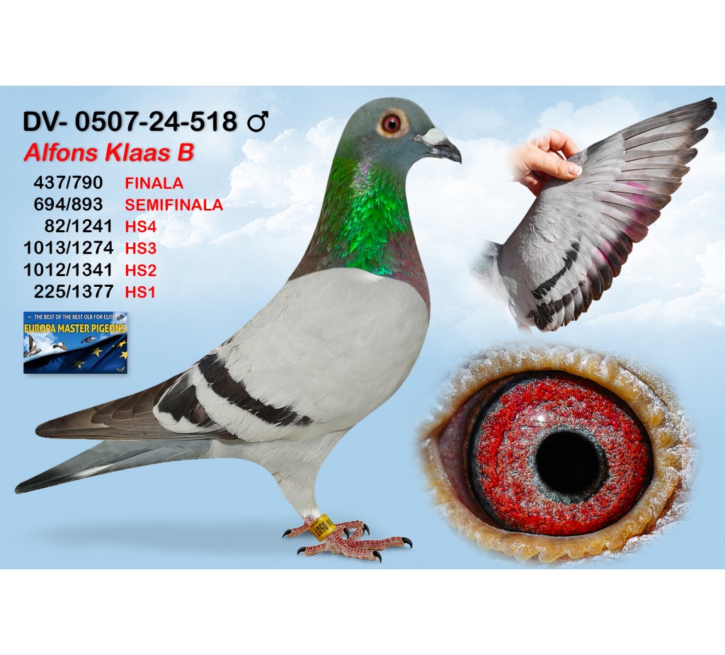 (♂️)  13th place - DV0507-24-518 - ALFONS KLAAS