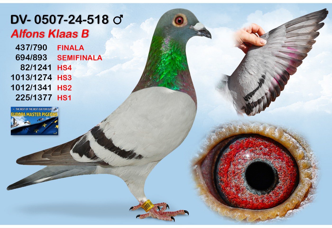 (♂️)  13th place - DV0507-24-518 - ALFONS KLAAS