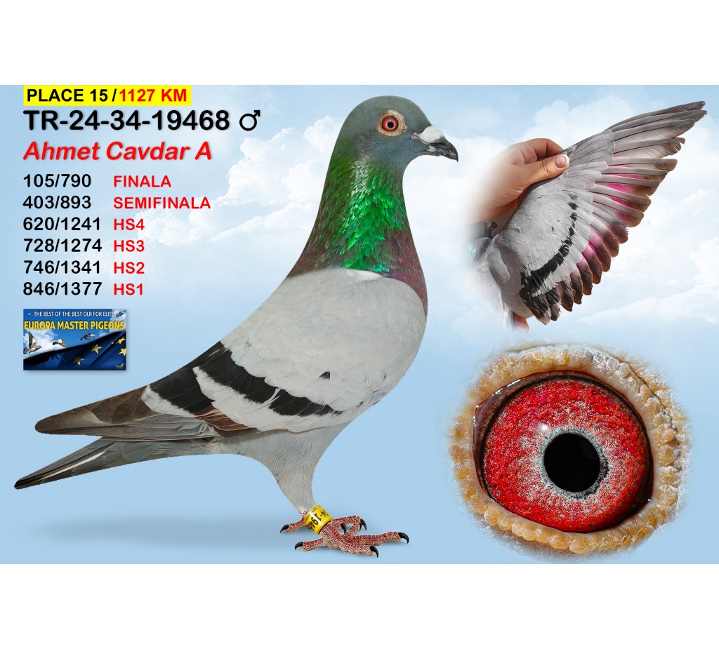 (♂️)  15th place - TR-24-34-19468 - AHMET CAVDAR