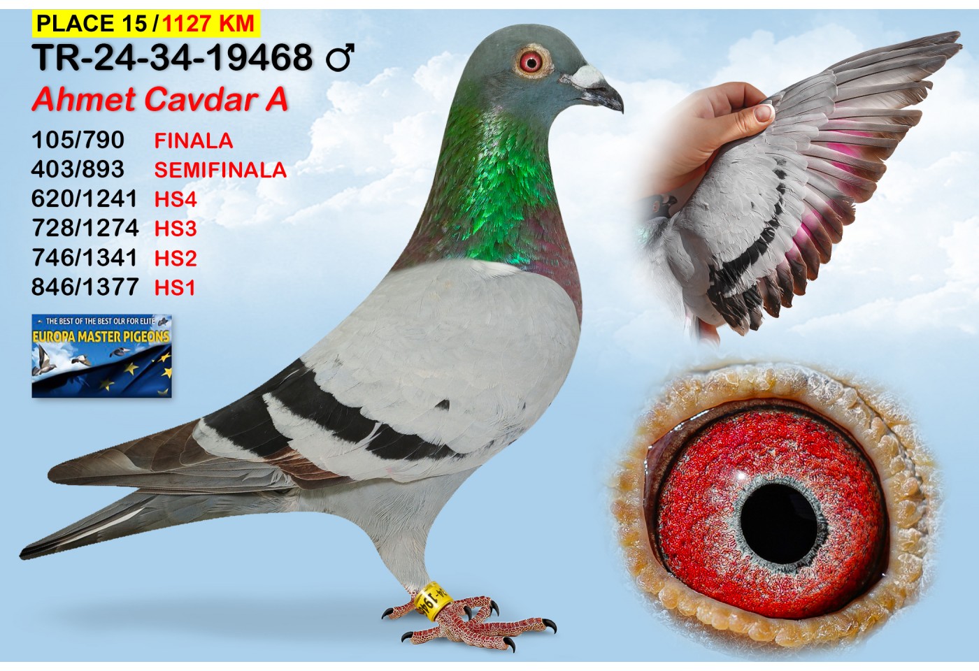 (♂️)  15th place - TR-24-34-19468 - AHMET CAVDAR