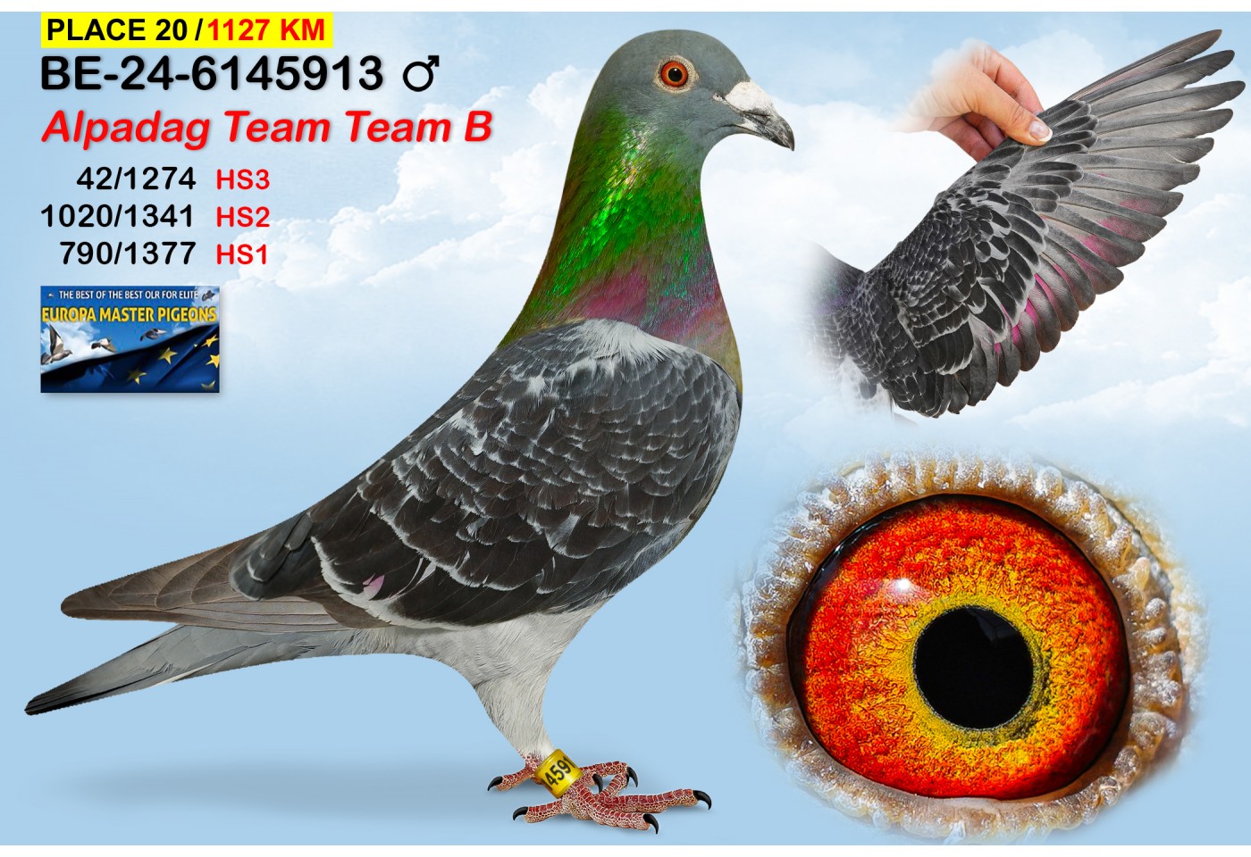 (♂️)  20th place - BE-24-6145913 - ALPDAG BROTHERS