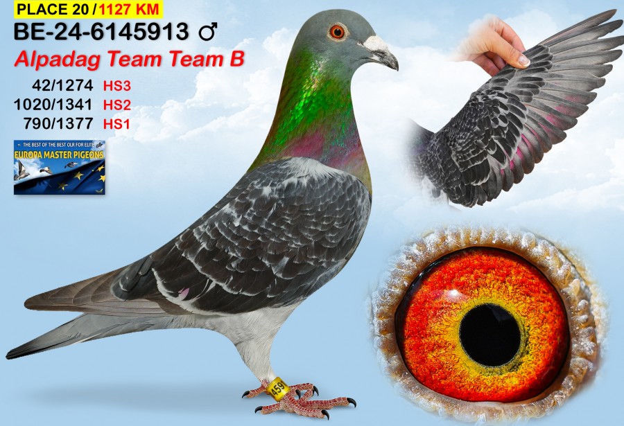 (♂️)  20th place - BE-24-6145913 - ALPDAG BROTHERS