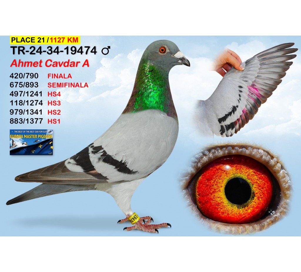 (♂️)  21th place - TR-24-34-19474 - AHMET CAVDAR