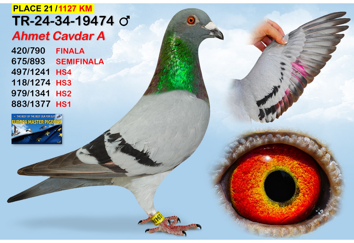 (♂️)  21th place - TR-24-34-19474 - AHMET CAVDAR