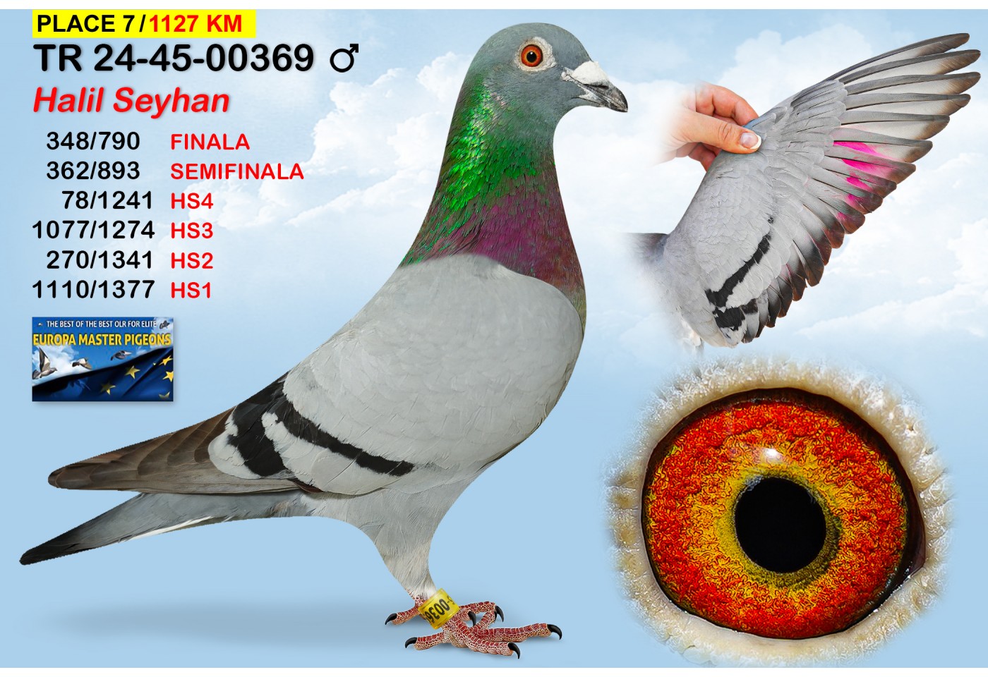 (♂️)  7th place - TR-24-45-00369 - HALIL SEYHAN