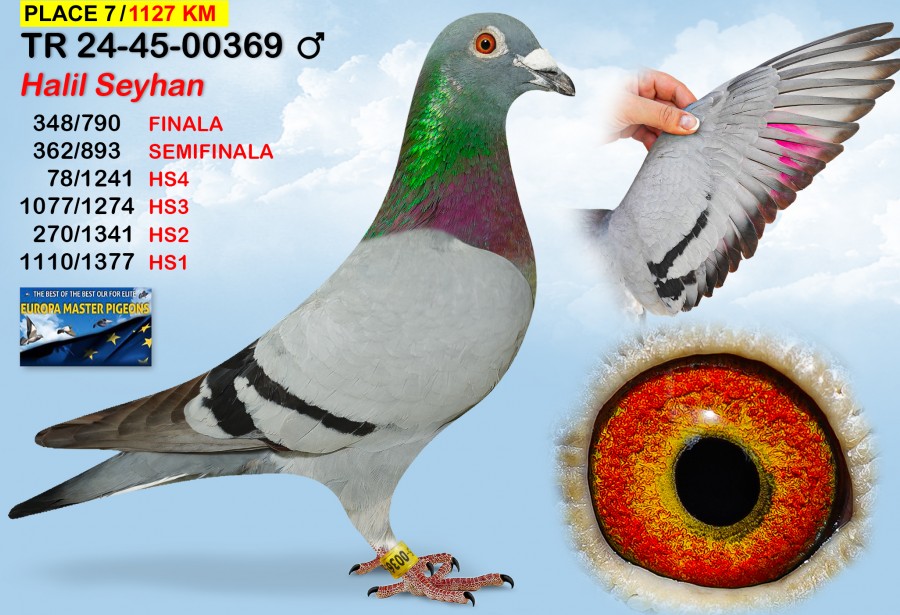 (♂️)  7th place - TR-24-45-00369 - HALIL SEYHAN