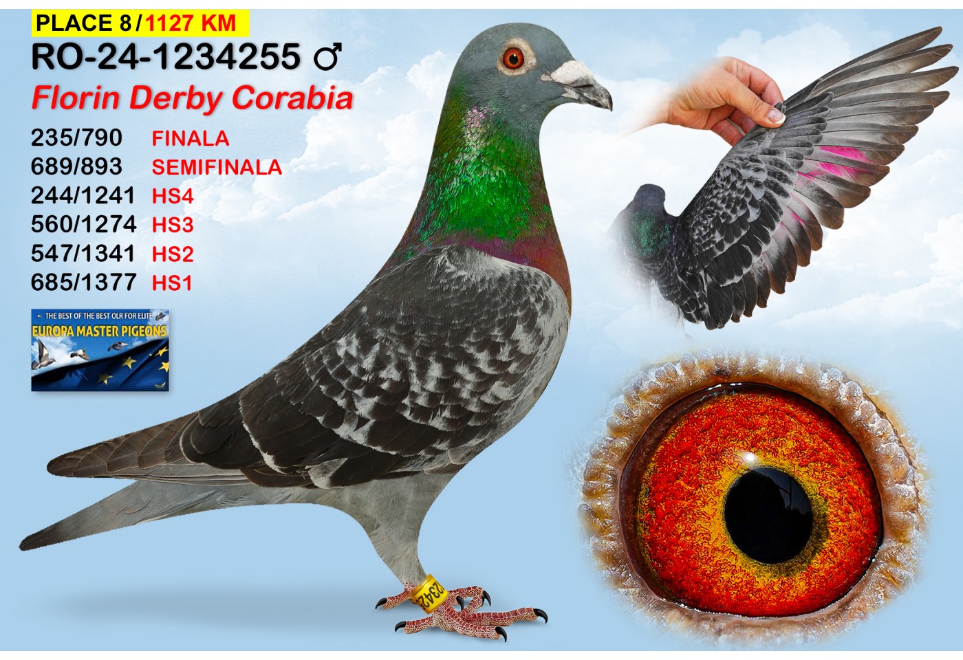 (♂️)  8th place - RO-24-1234255 - FLORIN DERBY CORABIA
