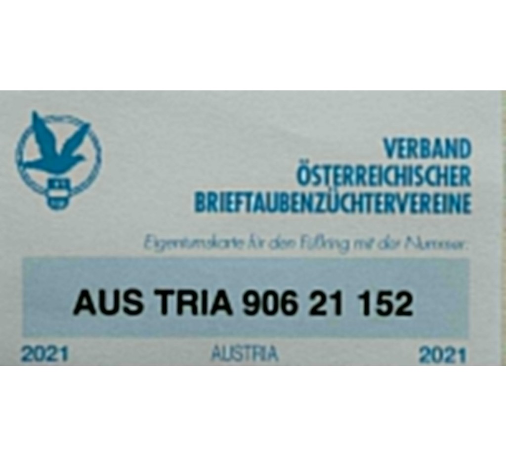 AUS TRIA-906-21-152 - Michael Rudorfer