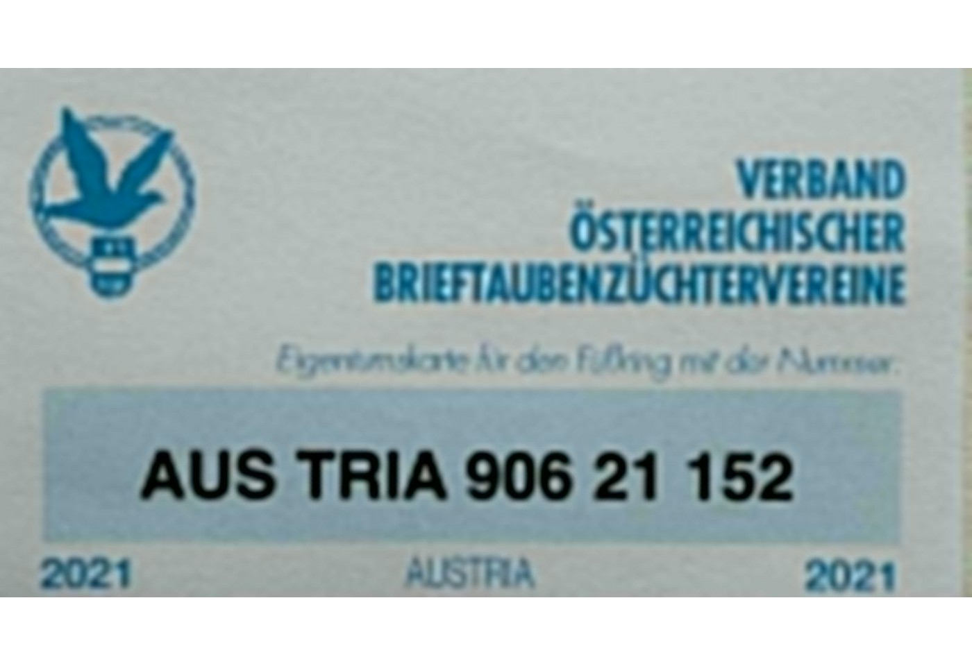 AUS TRIA-906-21-152 - Michael Rudorfer