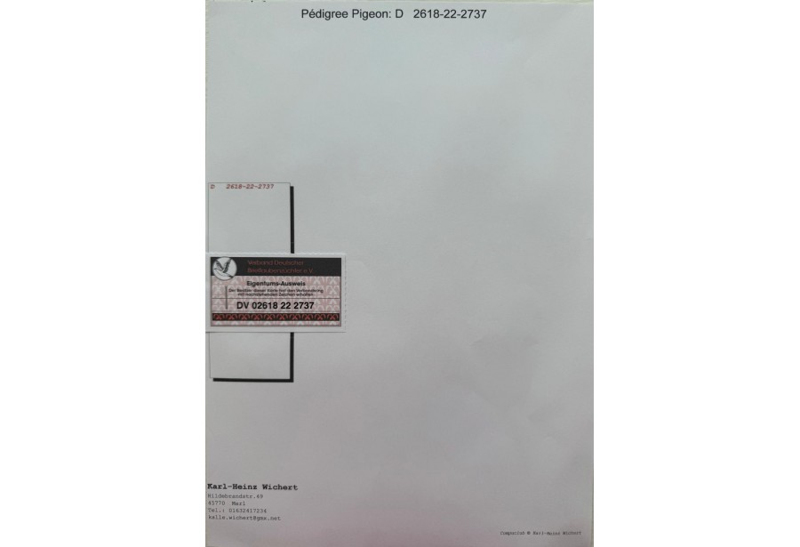 DV-02618-22-2737 - K H WICHERT