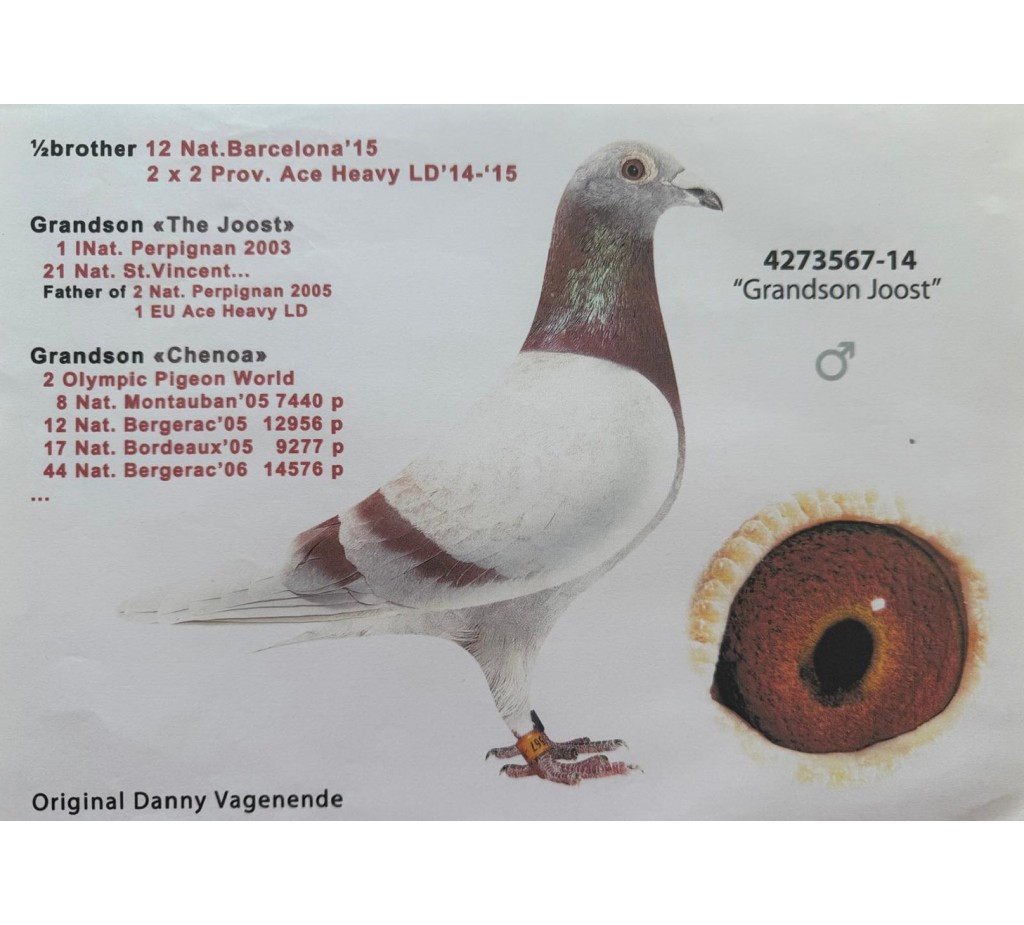 RO-21-006957 - HLADIUC + OZARCHIEVICI