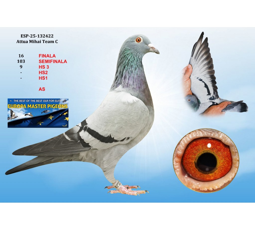 16th place - ESP-25-132422 - ATTUA MIHAI