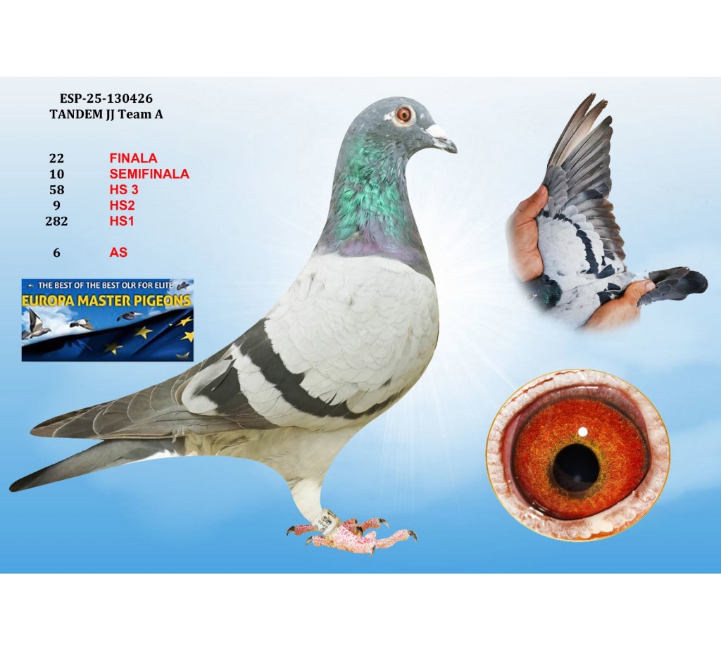 22th place HS2 - ESP-25-130426 - TANDEM JJ