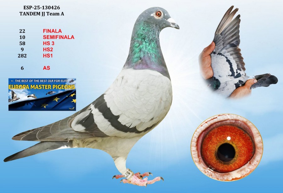 22th place HS2 - ESP-25-130426 - TANDEM JJ